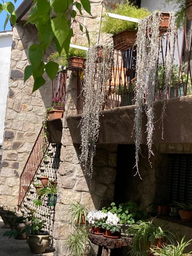 Tencarola B & B Exterior photo